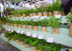 De meeste kruiden waren te zien op de beurs